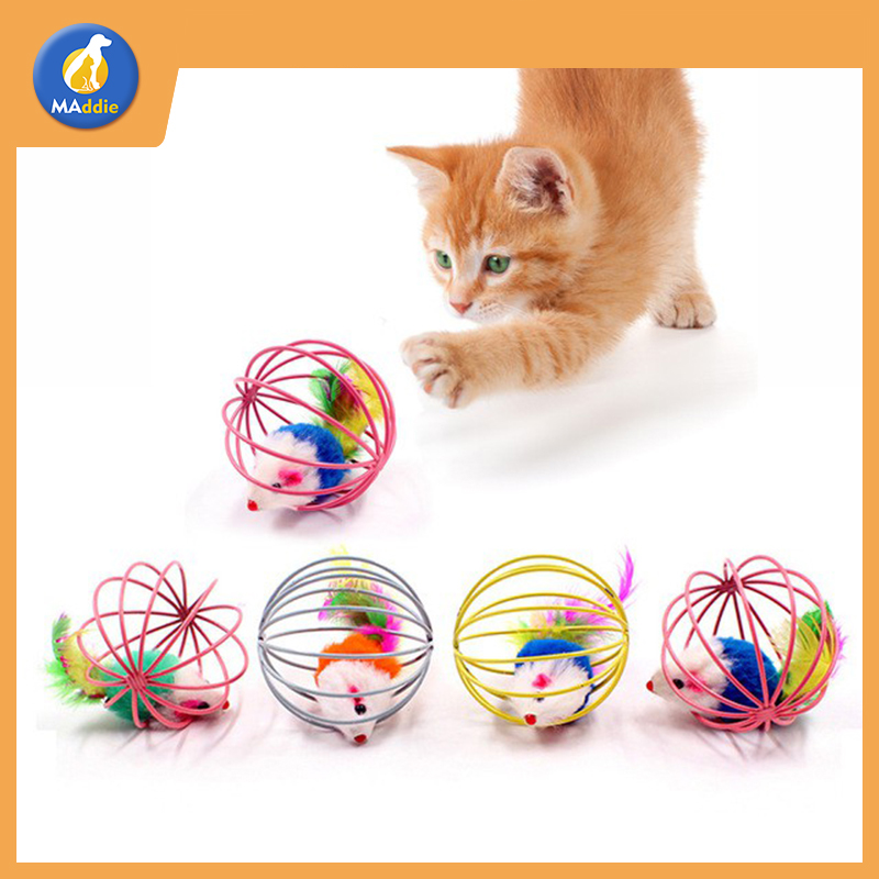 Maddie ถูกที่สุด บอลกรงหนู ของเล่นแมว ของเล่นน้องแมว บอลของเล่นแมว ( คละสี ) ของเล่น แมว ของเล่นแมวถูกๆ LI0184 ราคา 4 บาท*ส่งฟรี