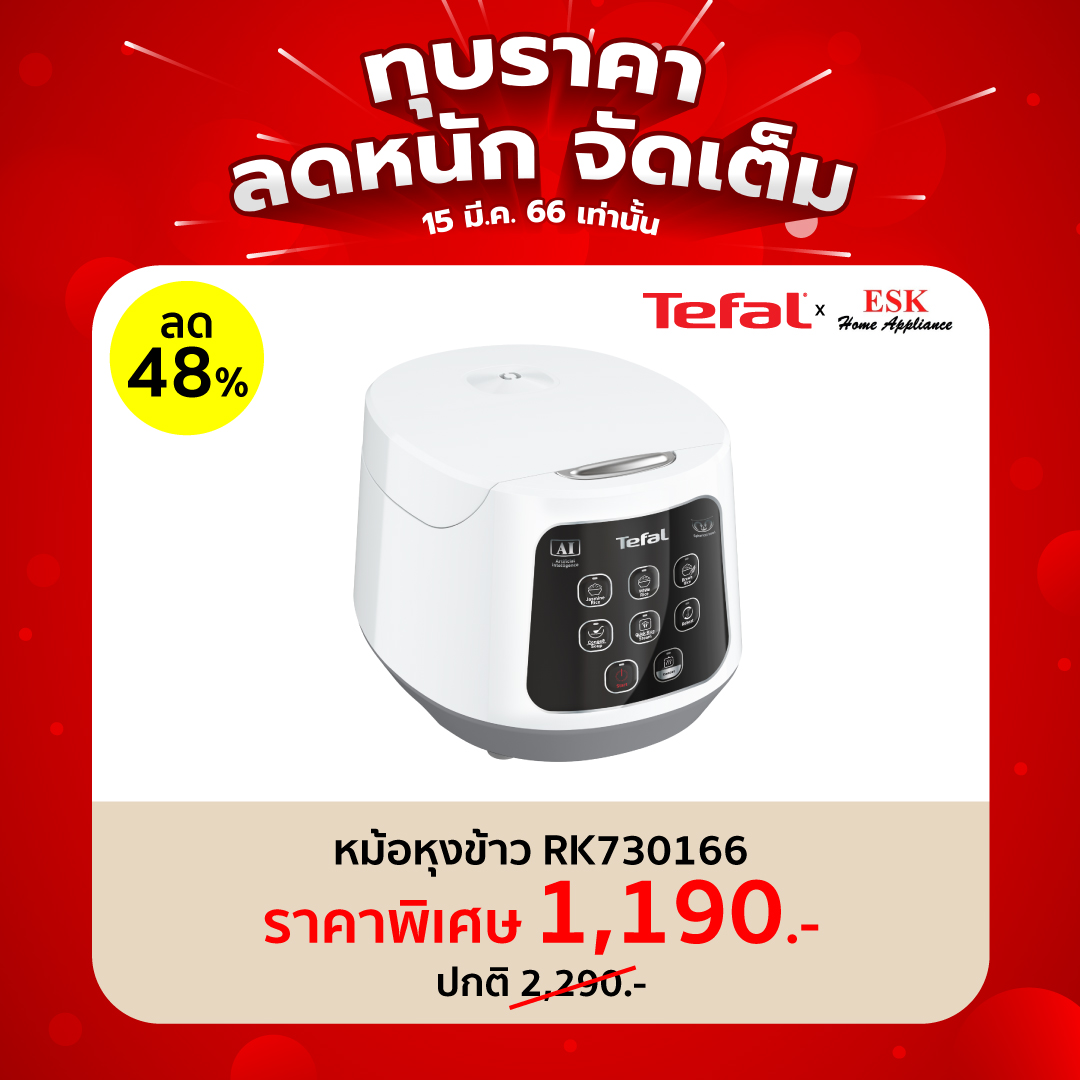 tefal rk730166