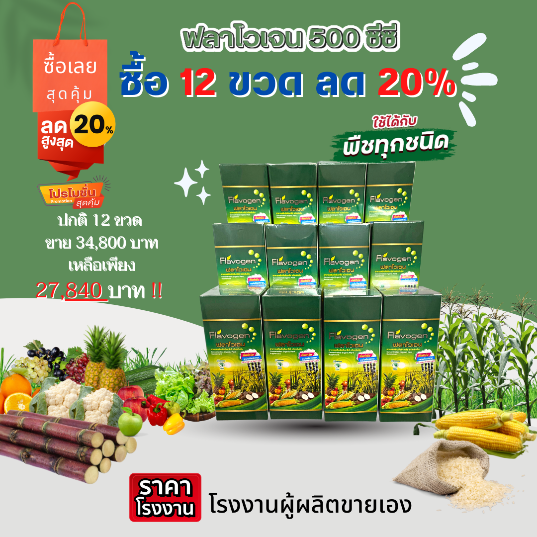 ฟลาโวเจน อาหารเสริมพืชอินทรีย์ขนาด 500 ซีซี 12ขวด ยกเซตสุดคุ้มลด 20% ราคา 27,840 บาท*ส่งฟรี