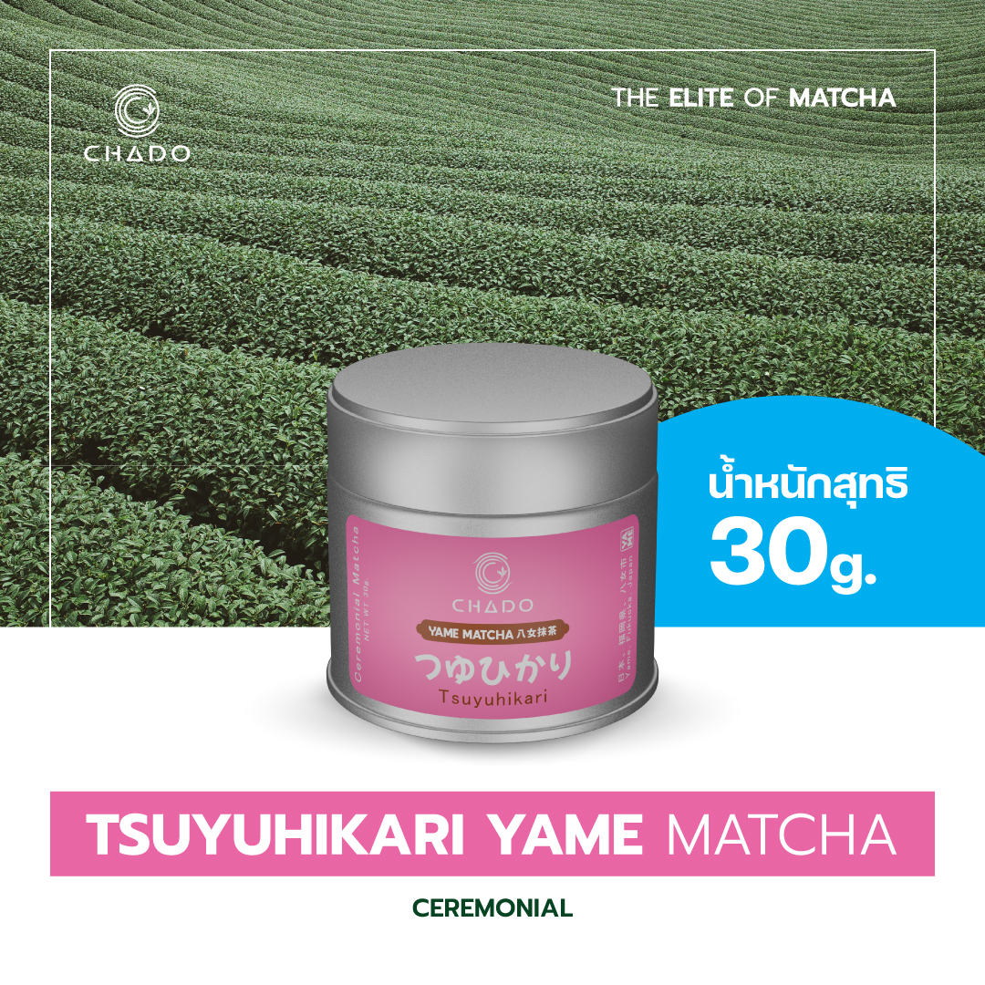 Yame Matcha Tsuyuhikari Ceremonial Matcha, Yame City ราคา 765 บาท*ส่งฟรี