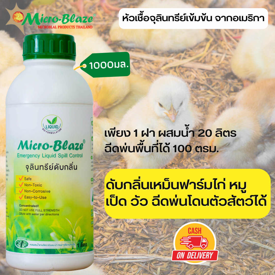 Micro-Blaze ELSC 1000 ml. หัวเชื้อจุลินทรีย์เข้มข้นจากอเมริกาแท้100% ดับกลิ่นเหม็นเห็นผลทันที ราคา 1,590 บาท*ส่งฟรี