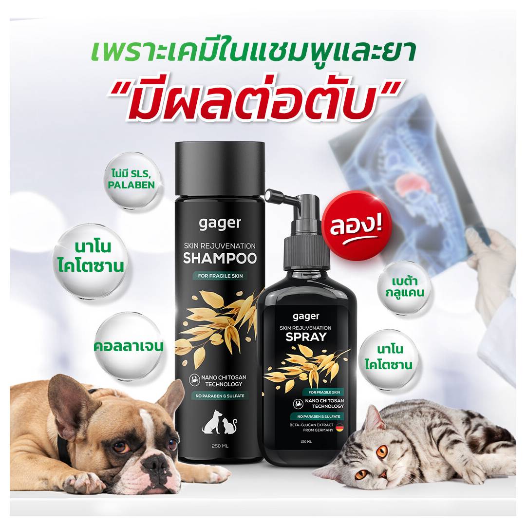 Gager (กาเจอร์) แชมพูขี้เรื้อน สเปรย์นาโนไคโตซาน+เบต้า กลูแคน เชื้อรา ผิวหนังอักเสบ ยีสต์ แก้คัน ฆ่าเชื้อ Gager (กาเจอร์) แชมพูสุนัข แชมพูหมา ราคา 320 บาท*ส่งฟรี