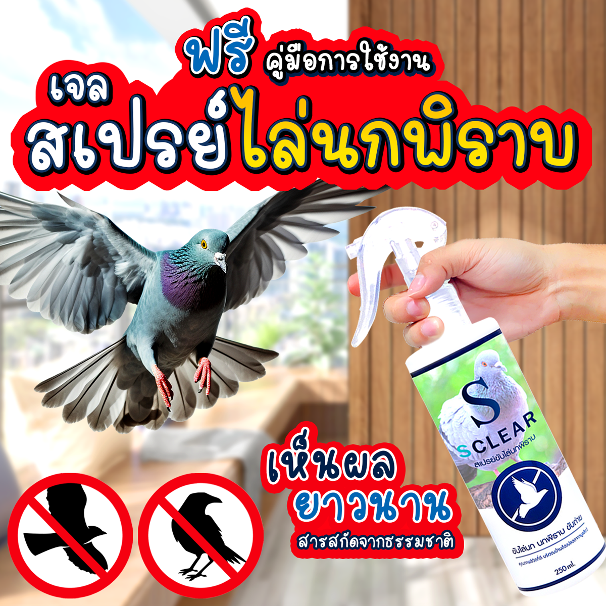สเปรย์ไล่นก SCLEAR ไล่นกพิราบ ไล่อีกา ไล่นกขี้ เจลไล่นก ป้องกันนกพิราบ ขับถ่าย ไล่นก สารสกัดจากธรรมชาติ 250 Ml ราคา 99 บาท*ส่งฟรี
