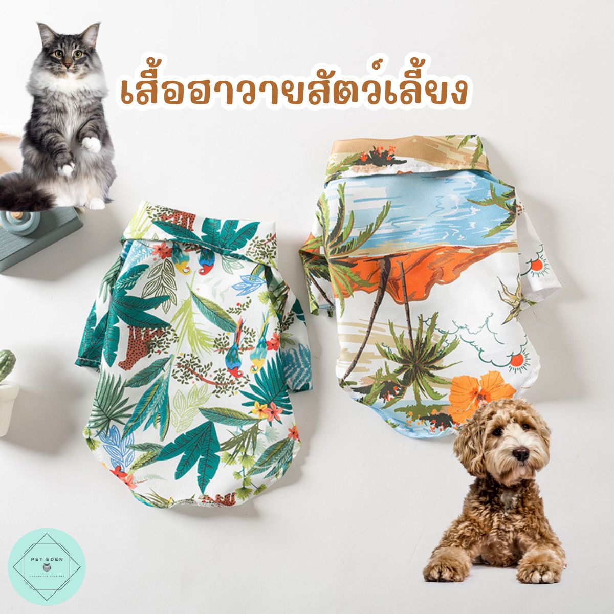 Hawaii Pet Shirt, Cat Shirt, Songkran, Sea ราคา 59 บาท*ส่งฟรี