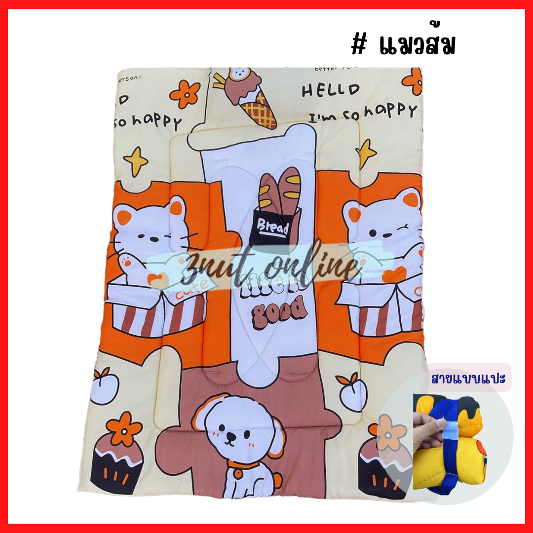 ที่นอนเด็ก ที่นอนเด็กอนุบาล ลายเจ้าหญิง เอลซ่า โซเฟียร์ คิตตี้ พร้อมส่ง