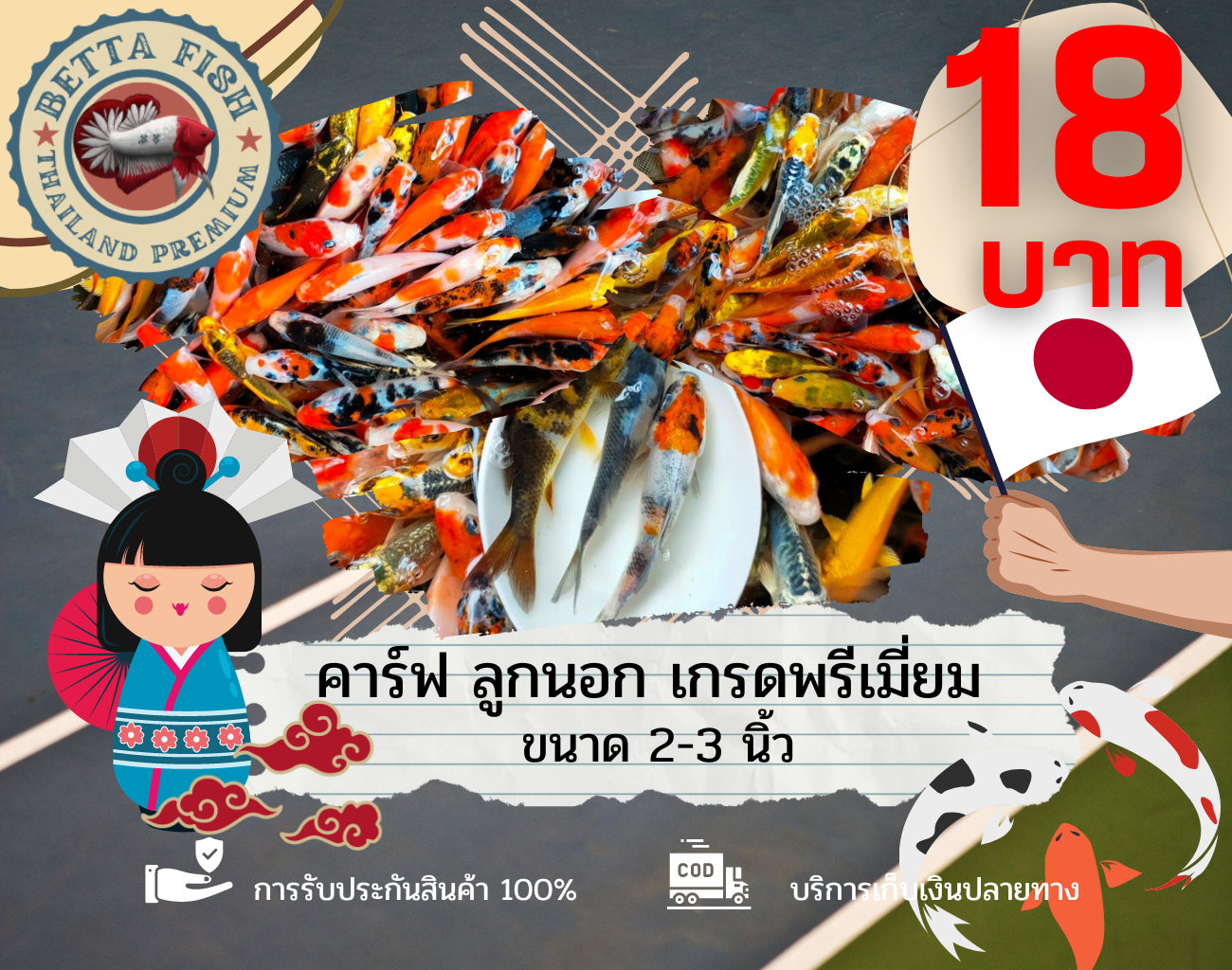 เพิ่มสีสันให้บ่อปลา ด้วยปลาคาร์ฟ ขนาด 2-3 นิ้ว คละลาย ที่สมบูรณ์ แข็งแรง ส่งเร็วปลอดภัย มีการรับกัน