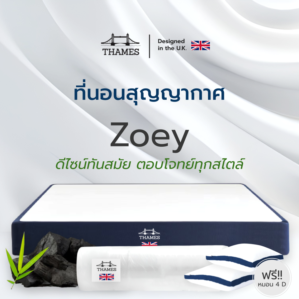 Thames ที่นอนสุญญากาศ รุ่น Fiona หนา 4 นิ้ว ที่นอนชาโคล เพิ่มความสดชื่น ไร้กลิ่นกวนใจขณะนอนหลับ แถมฟรีหมอนหนุน 2 ใบ ราคา 2,299 บาท*ส่งฟรี