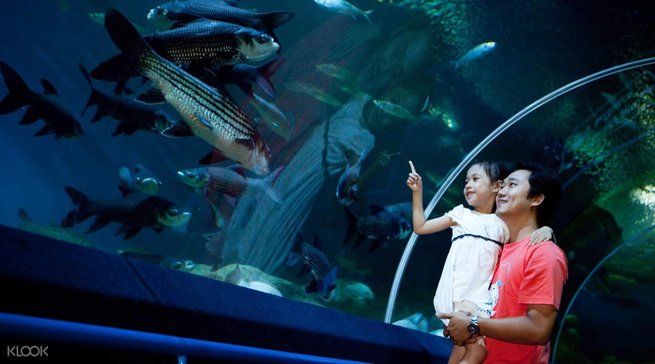 เกี่ยวกับ [E-Vo] บัตรเข้าชมโลกใต้น้ำที่อันเดอร์วอเตอร์เวิลด์ พัทยา Underwater World Pattaya เข้าชมได้ทันที