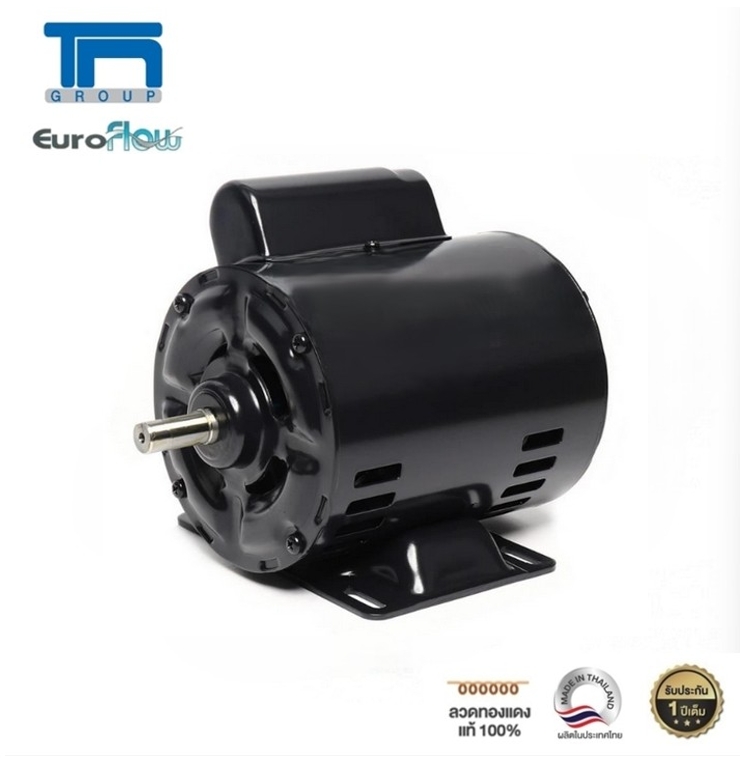 Euroflow Motor Model Crh 1/3Hp 4P ft 220V (G3) Shaft 14 mm (Not Suitable for Belt Pulling Work) ราคา 2,285 บาท*ส่งฟรี