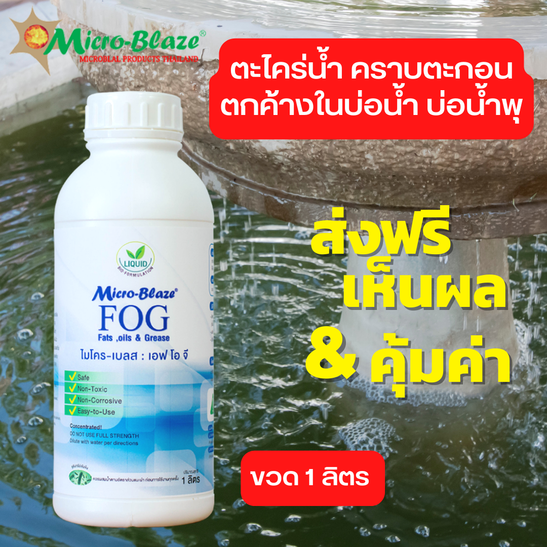 Micro Blaze F.O.G ราคา 1,690 บาท*ส่งฟรี