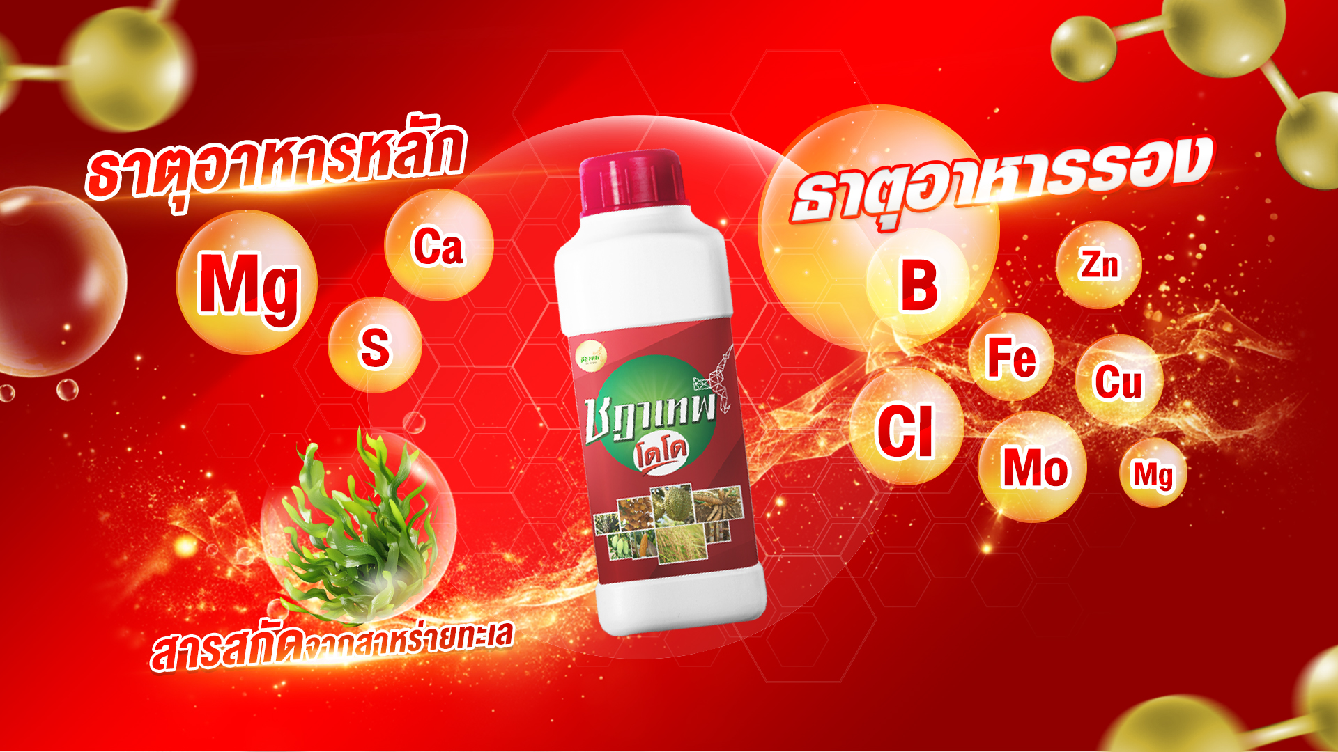 ชฎาเทพ โดโด เกรดพรีเมี่ยมนำเข้าจากประเทศสเปน ช่วยบำรุงดอก บำรุงผลผลิต ขั้วเหนียว เพิ่มน้ำหนัก เพิ่มสีสัน เพิ่มความหวาน ราคา 600 บาท*ส่งฟรี