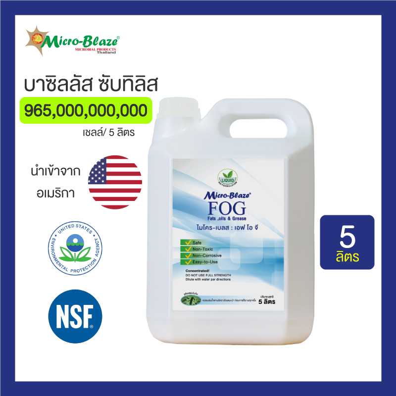 Micro-Blaze ไมโครเบลส ขวด 5 ล. จุลินทรีย์ย่อยสลายไขมันท่อน้ำทิ้ง ซิ้งค์ล้างจาน กลิ่นตีย้อนจากระบบบ่อบำบัดอ่างล้างหน้าอุดตัน ส่งฟรี ราคา 6,500 บาท*ส่งฟรี