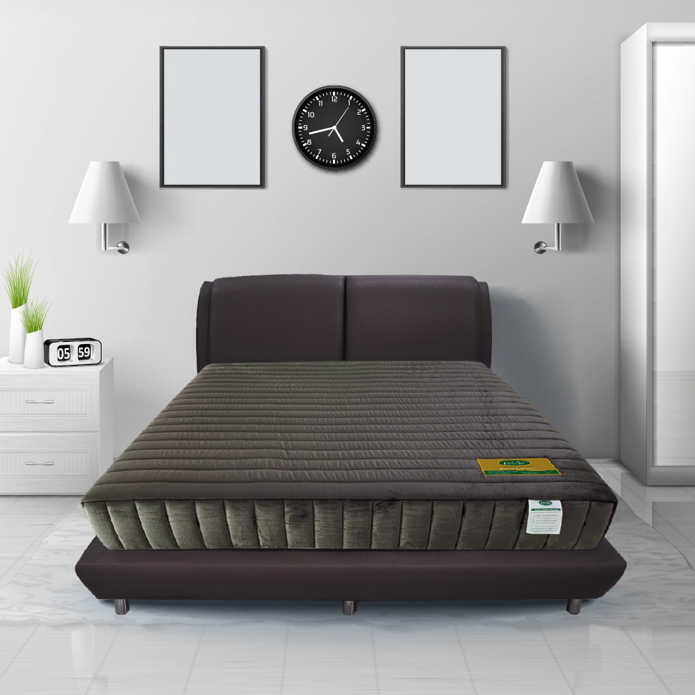 VENTRYที่นอนยางพาราธรรมชาติ100% แบบ 7 Zone รุ่น PRIDA Posh หนา 8 นิ้ว ~ฟรีหมอนหนุน+หมอนข้าง ส่งฟรี กทมและปริมณฑล ราคา 33,530 บาท*ส่งฟรี