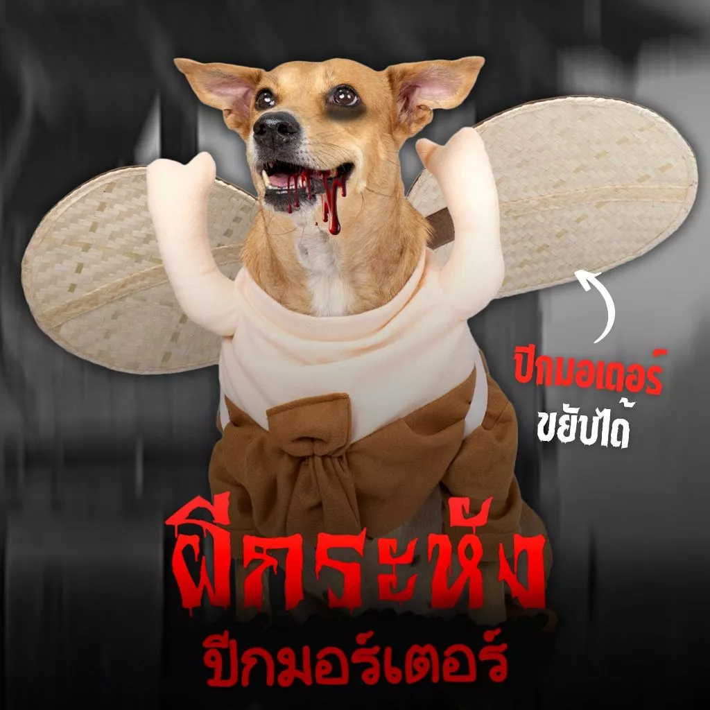ชุดฮาโลวีนผีไทย กระหังติดมอเตอร์ ชุดหมาแมวแฟนซี | CLAWSET.BKK ราคา 1,869 บาท*ส่งฟรี