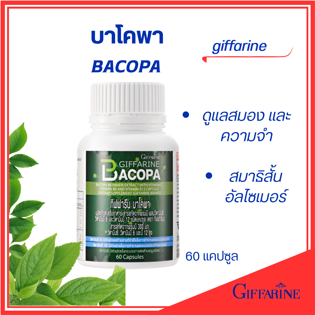 Bacopa Gifareen #   Bacopa Giffarine #   Take Care of Your Brain #   Memory #   Alzheimer's Disease # Stress # Short Attention Span # Nervous System # Wind Surge # Drive Away Phlegm # Parkhillson