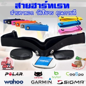 ภาพหน้าปกสินค้าอะไหล่ สายคาดอก สายคาดหน้าอก สายรัด วัดชีพจร Garmin Polar Wahoo Bryton Sigma Cateye Coospo Heart Rate Monitor ที่เสีย ยืด ไม่วัดหัวใจ สีสันสด เหมาะกับบุคลิก ราคาถูก ซึ่งคุณอาจชอบราคาและรีวิวของสินค้านี้