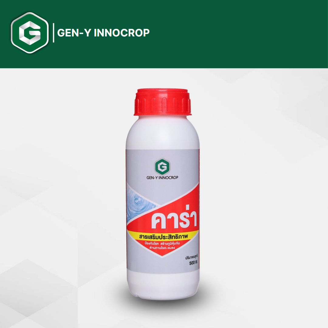 เจนวาย คาร่า 500 ml. สารเสริมประสิทธิภาพป้องกันโรค รากเน่า โคนเน่า ไฟทอปธอรา ฟูซาเรียม สร้างภูมิคุ้มกันต้านทานโรค-แมลง ราคา 380 บาท*ส่งฟรี