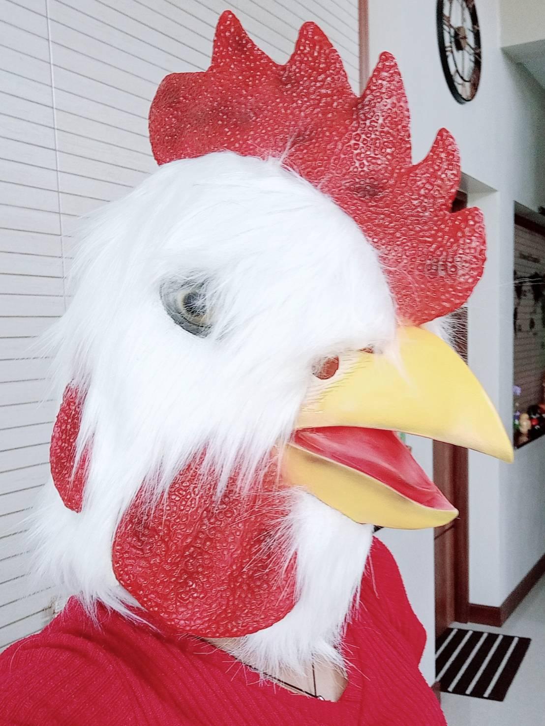 1 อัน 3D ติดขน เสมือนจริง หน้ากากหัวไก่ หน้ากากไก่ หน้ากากหัวสัตว์ หน้ากากคอสเพล หน้ากากยาง หน้ากาก ไก่ สัตว์ ของแปลก หายาก ของสะสม หน้ากากแฟนซี หน้ากากฮาโลวีน chicken head mask halloween m24 shop