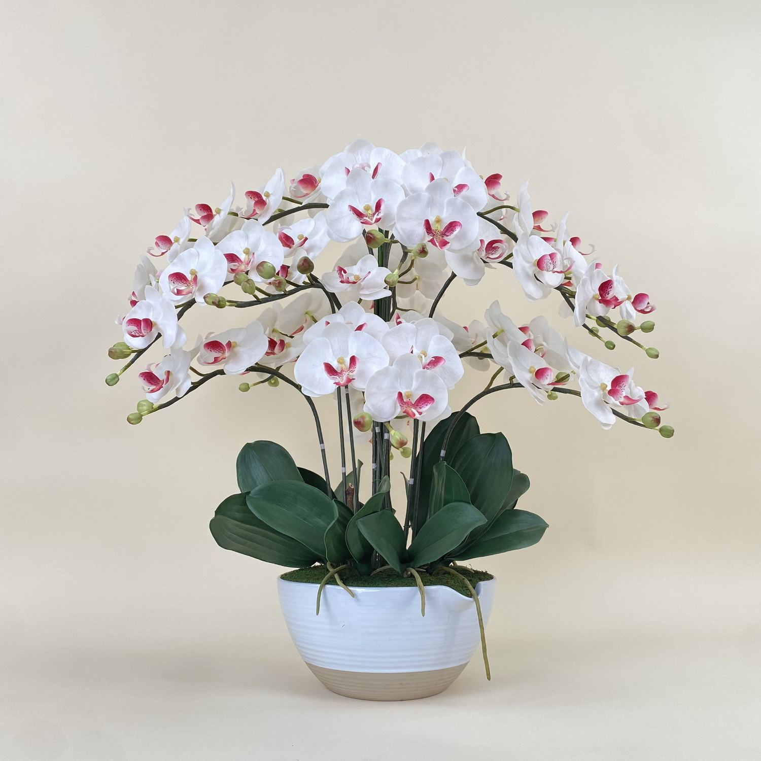 กระถางกล้วยไม้ประดิษฐ์ขนาดใหญ่ จัดรอบด้าน ดอกไม้พร้อมกระถางตกแต่งบ้าน ราคา 6,500 บาท*ส่งฟรี