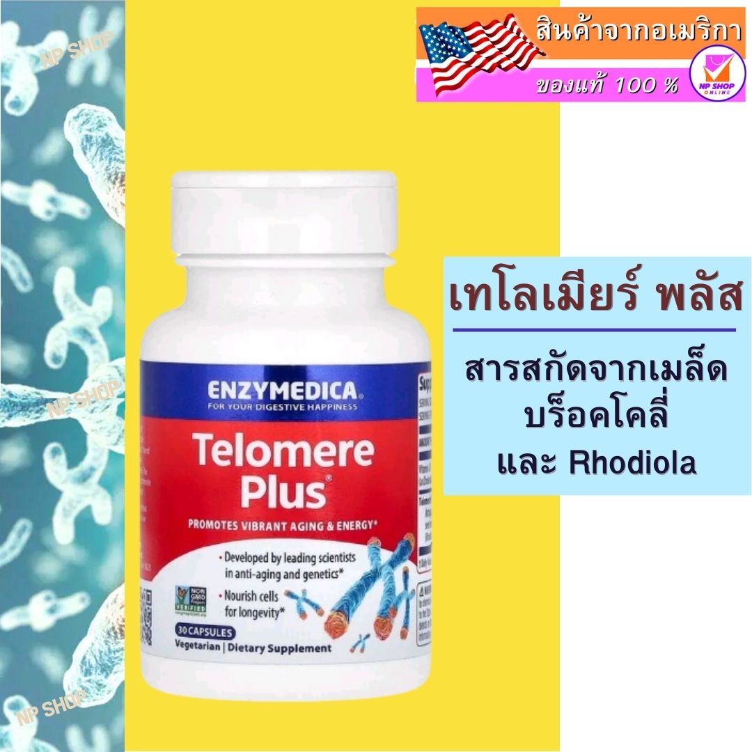 Complément Alimentaire Enzymedica Telomere Plus - Boîte De 30 Gélules - Neuf