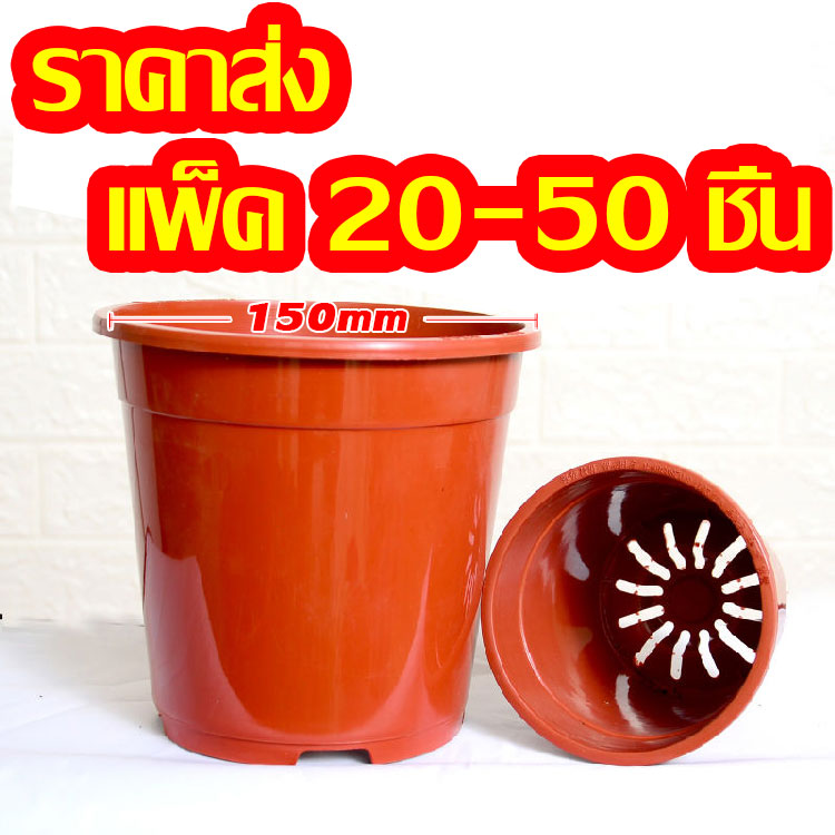 20ชิ้น 50ชิ้น กระถางดอกไม้ พื้นที่ขนาดใหญ่ที่ด้านล่าง ระบายออกง่าย ระบายอากาศได้  ไม่เสียรูปง่าย กระถางดำ กระถางต้นไม้พลาสติก กระถางญี่ปุ่น กระถางต้นไม้  กระทางต้นไม้ กระถางปลูกต้นไม้ กะถางต้นไม้  กระถาง กระถางต้นไม้สวยๆ  กระถางพลาสติก กระถางแคคตัส