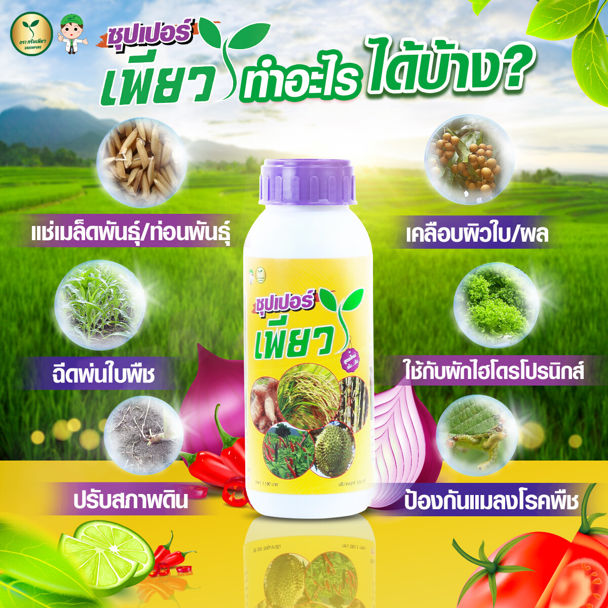 Super Pure Plant-Based Vitamin Plant Vaccine, Green Pure Brand, Organic Chic Product. Can Be Used with All Types of Plants. Help Increase Production Strengthening Prevents Insect Diseases ราคา 574 บาท*ส่งฟรี