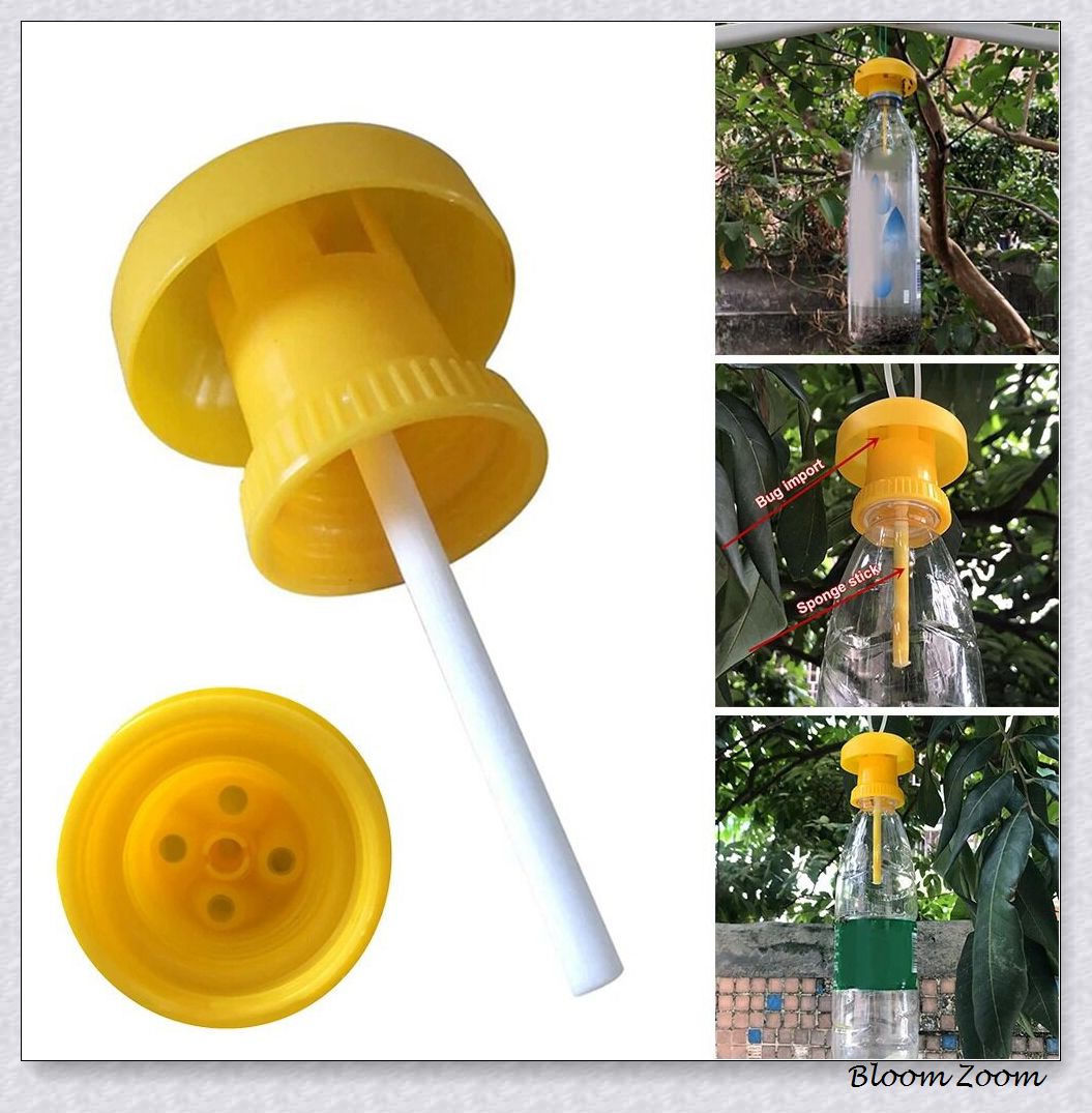 Bloom Zoom 6*6*2ซม เครื่องดักแมลงวันผลไม้เครื่องฆ่าพลาสติก Geel Drosophia Val  เครื่องจับแมลงวันควบคุมแมลงสำหรับบ้าน