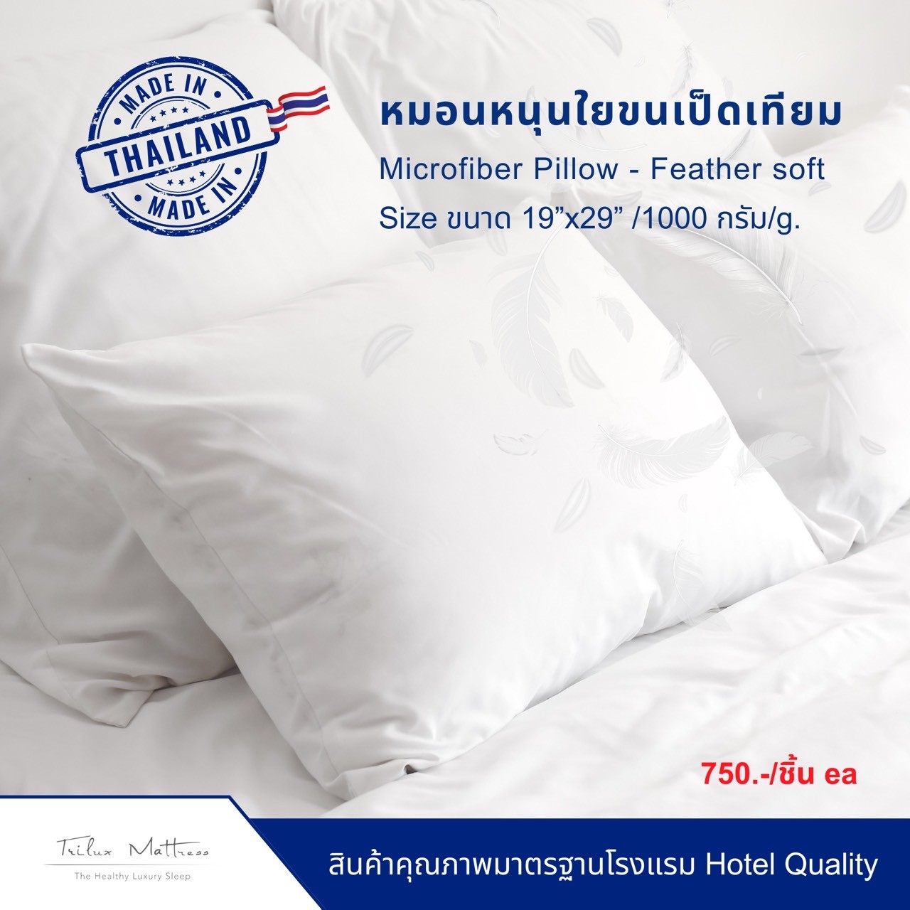 Microfiber pillow - Super soft 1,000g 19"x29" ราคา 290 บาท*ส่งฟรี