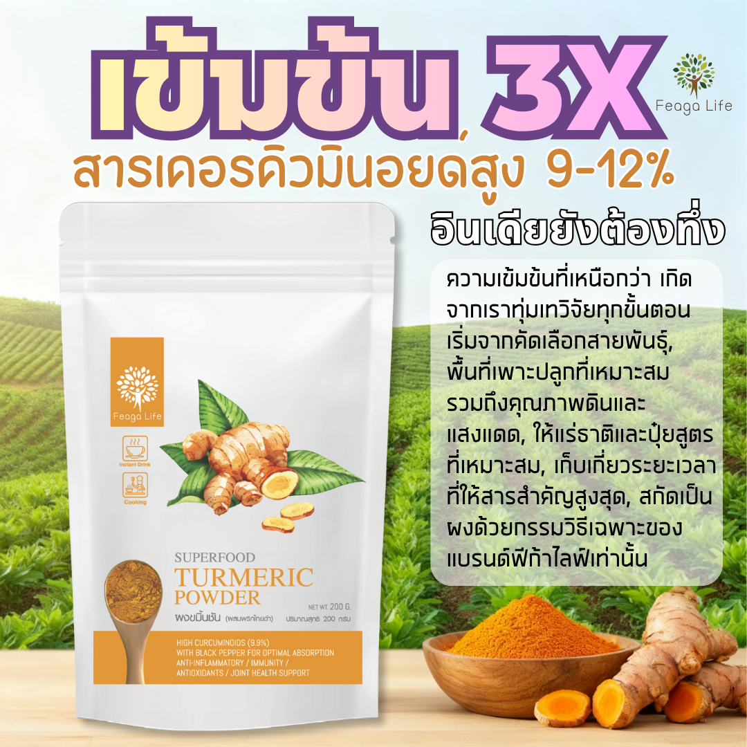 Turmeric Powder, Curcuminoid 9% Mixed with Black Pepper, Feaga Life Turmeric Powder, 200 Grams. ราคา 250 บาท*ส่งฟรี