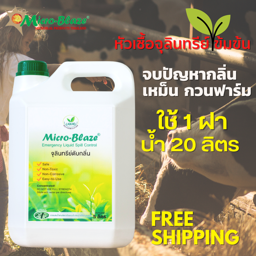 Micro-Blaze ELSC   5 ลิตร หัวเชื้อจุลินทรีย์ธรรมชาติ ดับกลิ่นเหม็น จากมูลสัตว์ กลิ่นแก็สแอมโมเนีย ปรับสภาพแวดล้อมในโรงเลี้ยง พร้อมส่ง ของแท้100% ราคา 6,700 บาท*ส่งฟรี