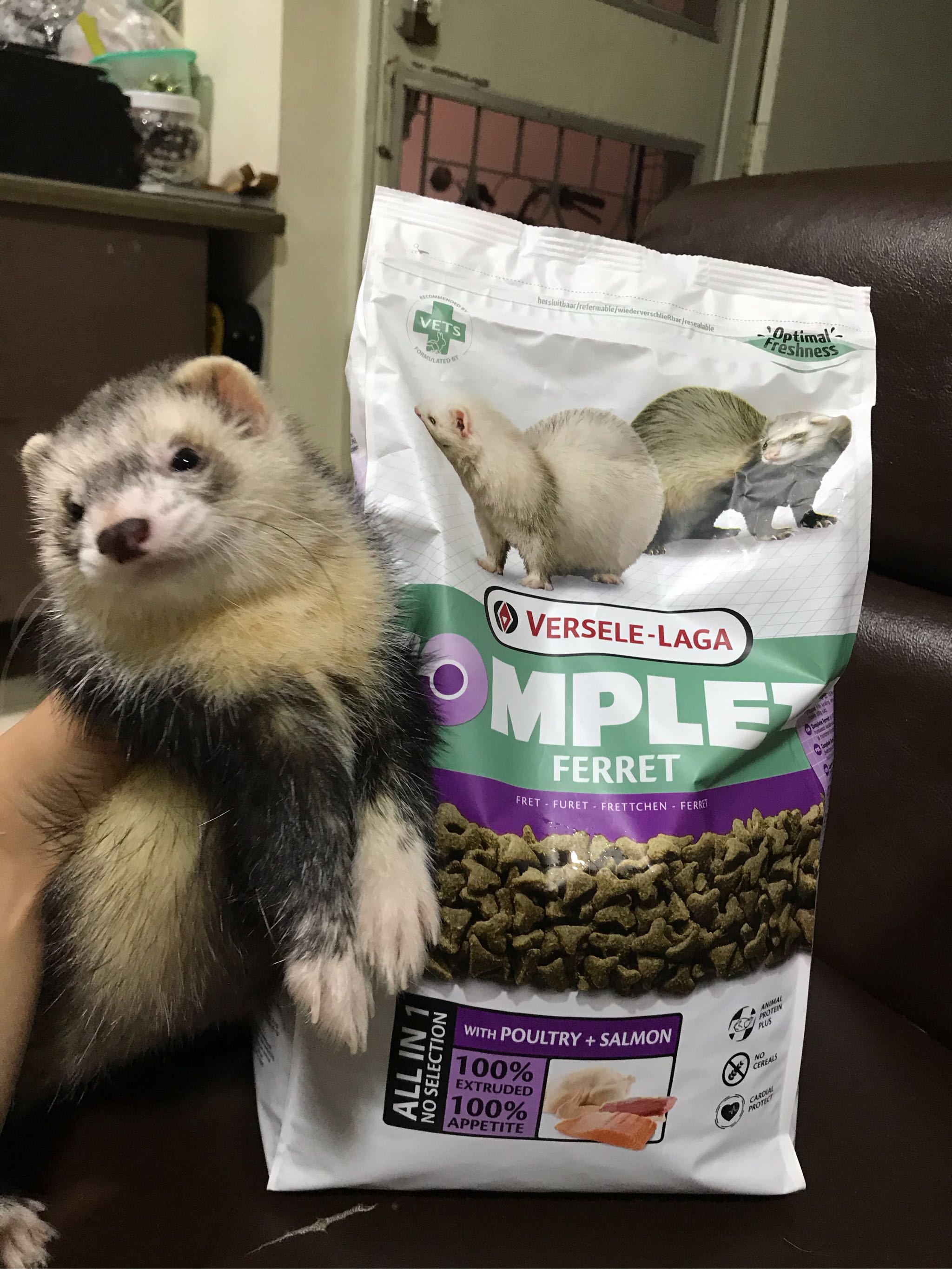 ferret complete versele laga