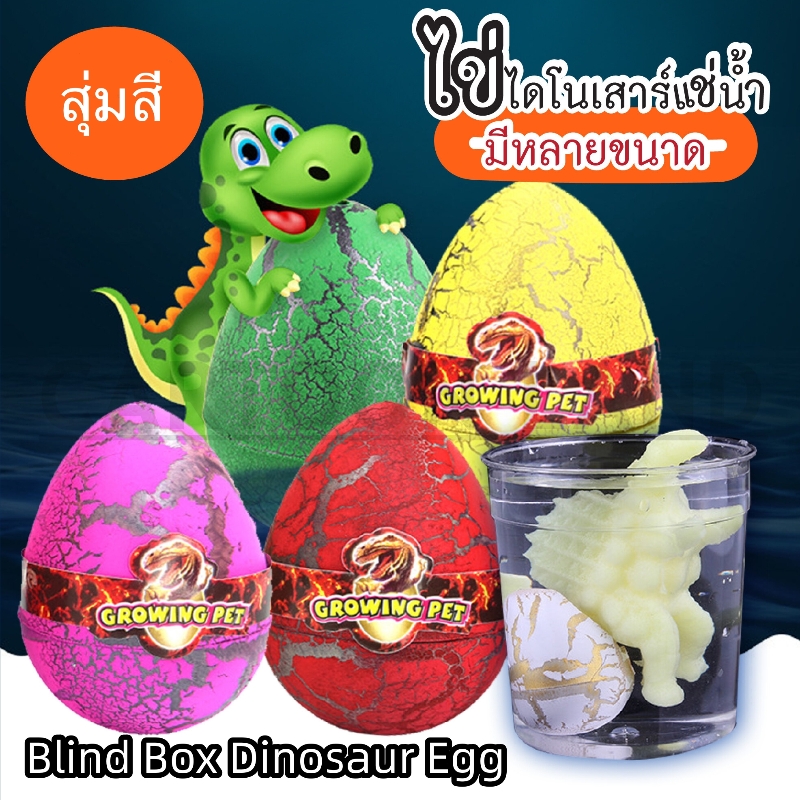 ไข่ไดโนเสาร์แช่น้ำของเล่น Blind Box Dinosaur Egg  ??กล่องตาบอดไข่ไดโนเสาร์ ฮิตมากๆในtiktok.size:5*7cmไข่ไดโนเสาร์แบบสุ่มส่ง