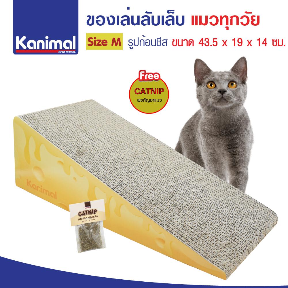 Cat Toy ของเล่นแมว ที่ลับเล็บแมว รูปชีส สำหรับแมว Size M ขนาด 43.5x19x14 ซม. แถมฟรี! Catnip กัญชาแมว