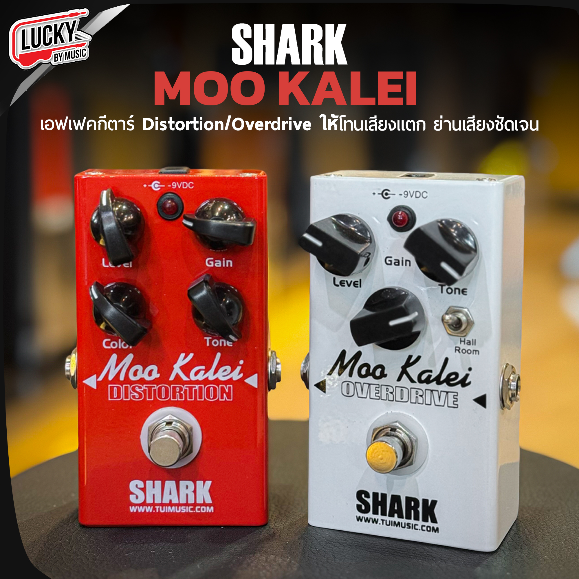 Shark Effect - ซื้อ Shark Effect ราคาดีที่สุดค่ะ Thailand | เอฟเฟค