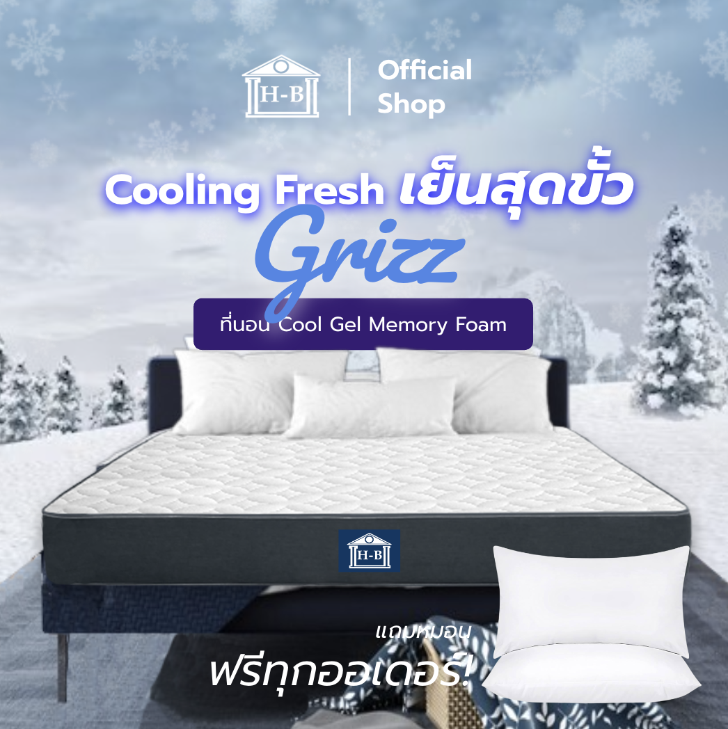 Home Best ที่นอนHybrid รุ่น Grizz หนา 6 นิ้ว มีความยืดหยุ่น แถมหมอนหนุนฟรี ราคา 1,899 บาท*ส่งฟรี