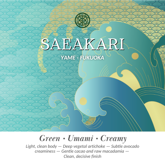 Yame - Saeakari: Ceremonial Grade Matcha 100%: Single Cultivar ราคา 620 บาท*ส่งฟรี