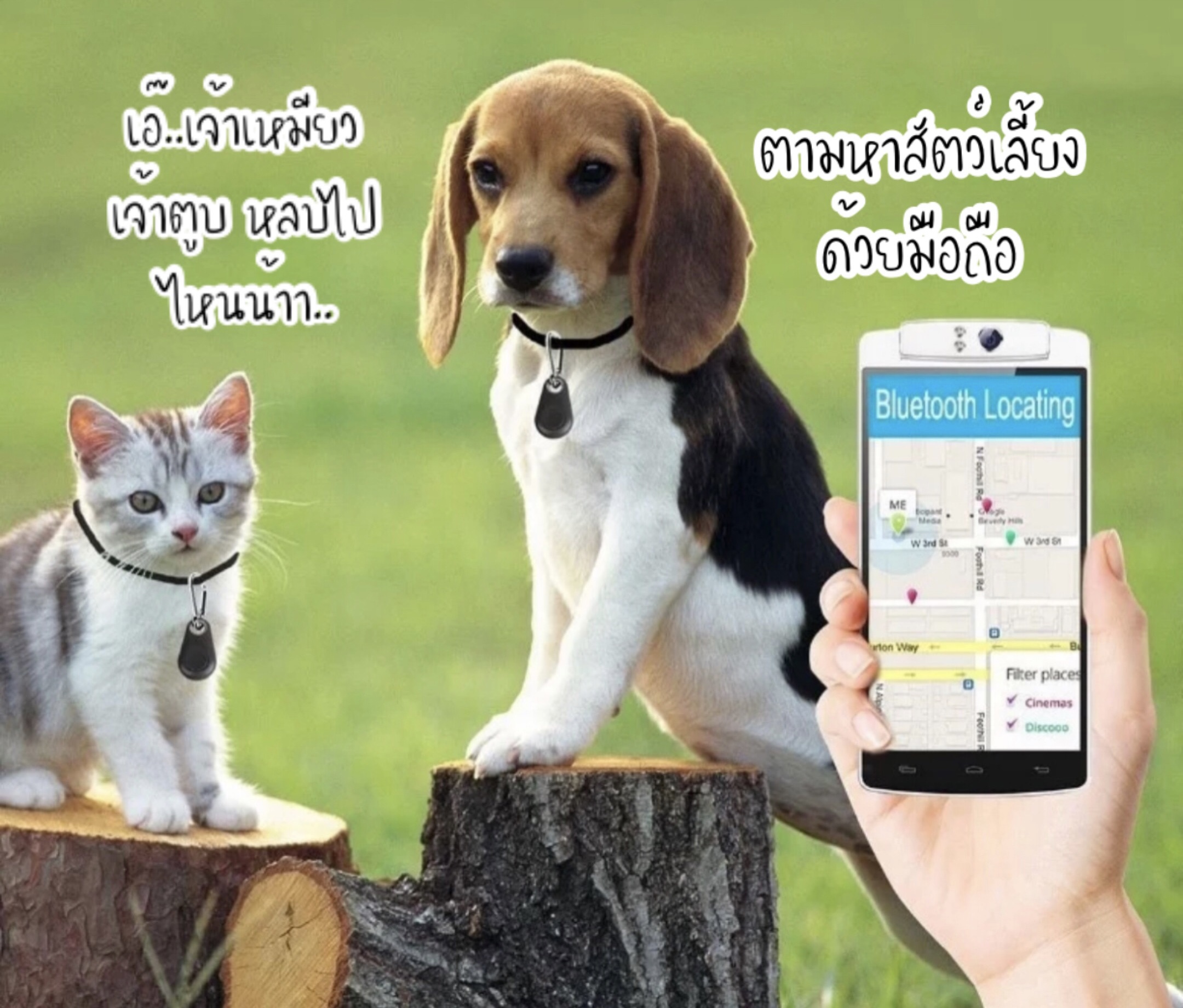 ภาพประกอบของ (พร้อมส่ง) (มีคู่มือภาษาไทย) อุปกรณ์ติดตามของหาย ติดตามสัตว์เลี้ยง ด้วย Blth ผ่านมือถือ(แถมถ่านฟรี), ใช้ได้ทั้ง iOS และ Android, Stuff/Key/Pet Tracking