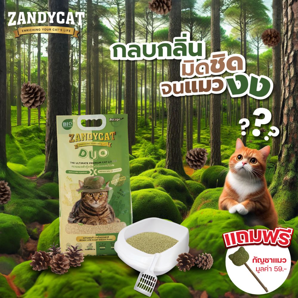 ZANDYCAT DUO ทรายแมวไม้สนผสมเต้าหู้เกล็ดพรีเมียม 10ลิตร ใช้ได้กับห้องน้ำแมวแมวอัตโนมัติและกระบะทรายแมว ราคา 320 บาท*ส่งฟรี
