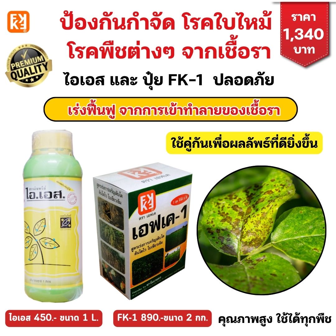 The plant burns, leaves, spots, fungal diseases, uses ISS + fertilizer, FK-1, accelerated formula, restore plants, safe, all plants available. ราคา 450 บาท*ส่งฟรี