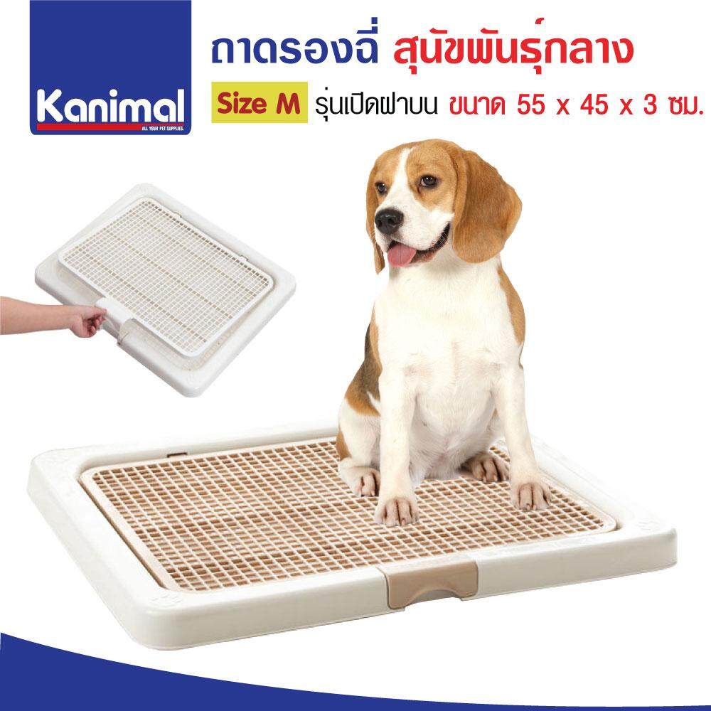 Kanimal Dog Toilet ห้องน้ำสุนัข ถาดฝึกฉี่สุนัข รุ่นเปิดฝาบน พร้อมที่ล็อคฝา สำหรับสุนัขพันธุ์กลาง Size M ขนาด 55x45x3 ซม.