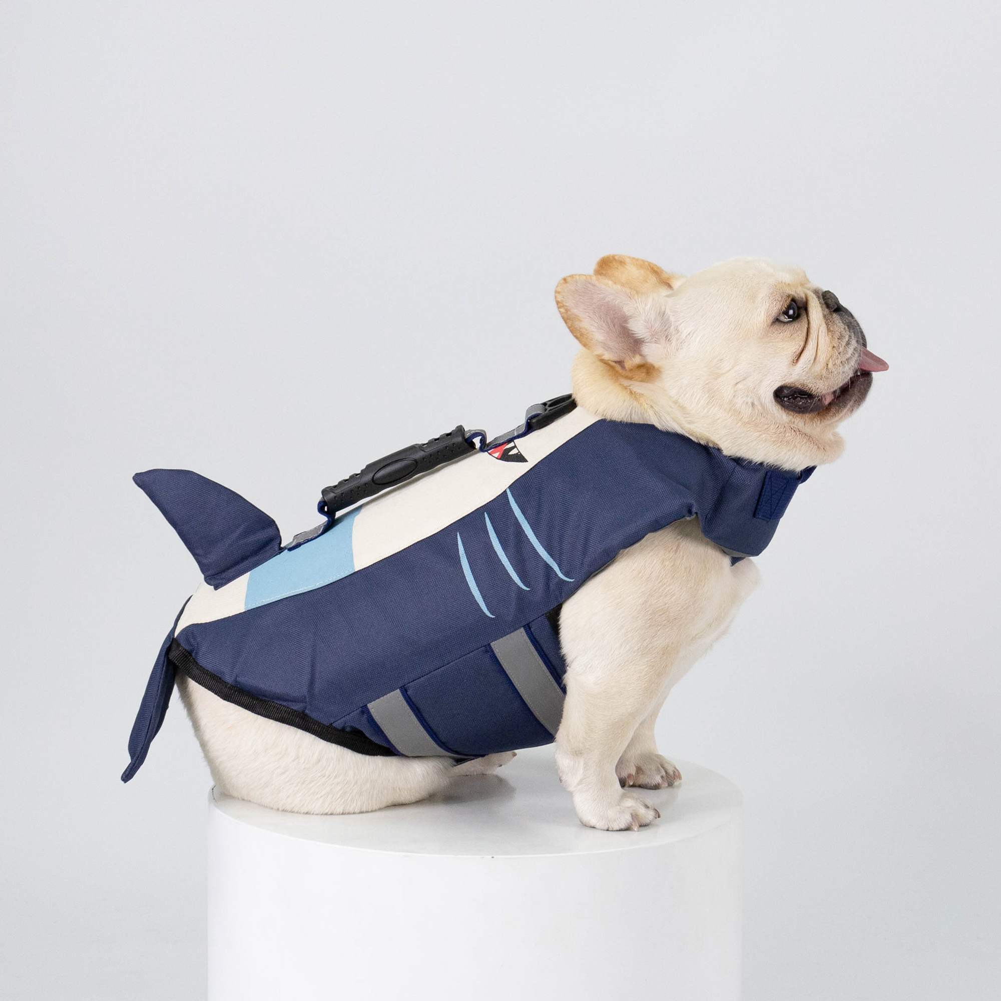 เสื้อชูชีพสัตว์เลี้ยง - ฉลาม Life jacket | Clawset.bkk ราคา 650 บาท*ส่งฟรี