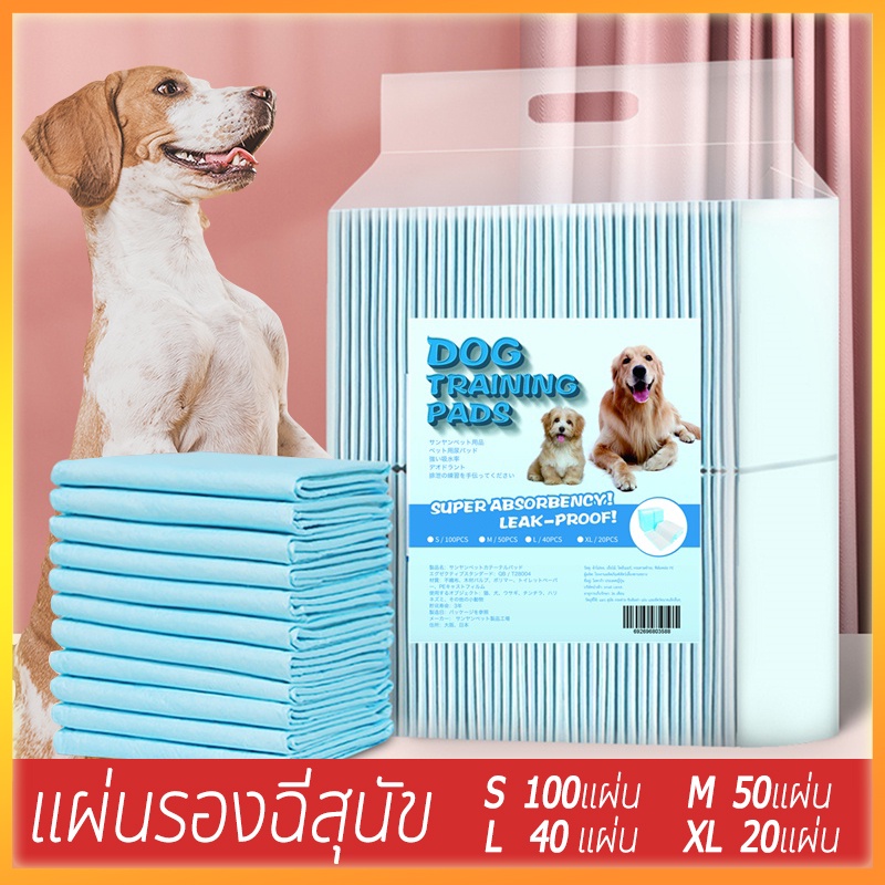 แผ่นรองฉี่สุนัข แผ่นรองฉี่กระต่าย แผนรองฉี่สุนัข ห้องน้ำหมา แผ่นรองฉี่สัตว์เลี้ยง ช่วยฝึกขับถ่าย ระงับกลิ่น ซึมซับไดีดี ราคา 76 บาท*ส่งฟรี