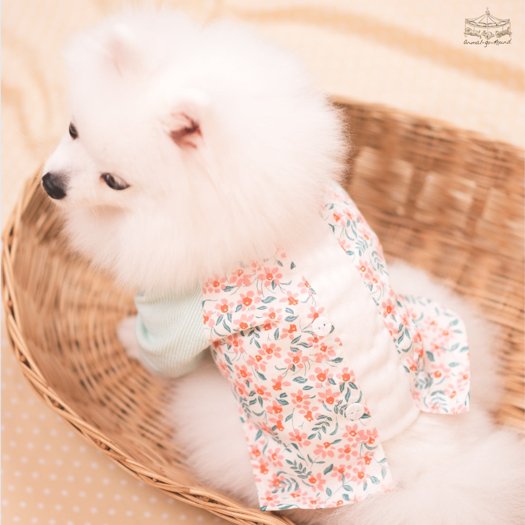 Animal-Go-Round เสื้อผ้าเครื่องแต่งกาย สัตว์เลี้ยง, หมา, แมว, สุนัข รุ่น Sunday Morning Boy ราคา 650 บาท*ส่งฟรี