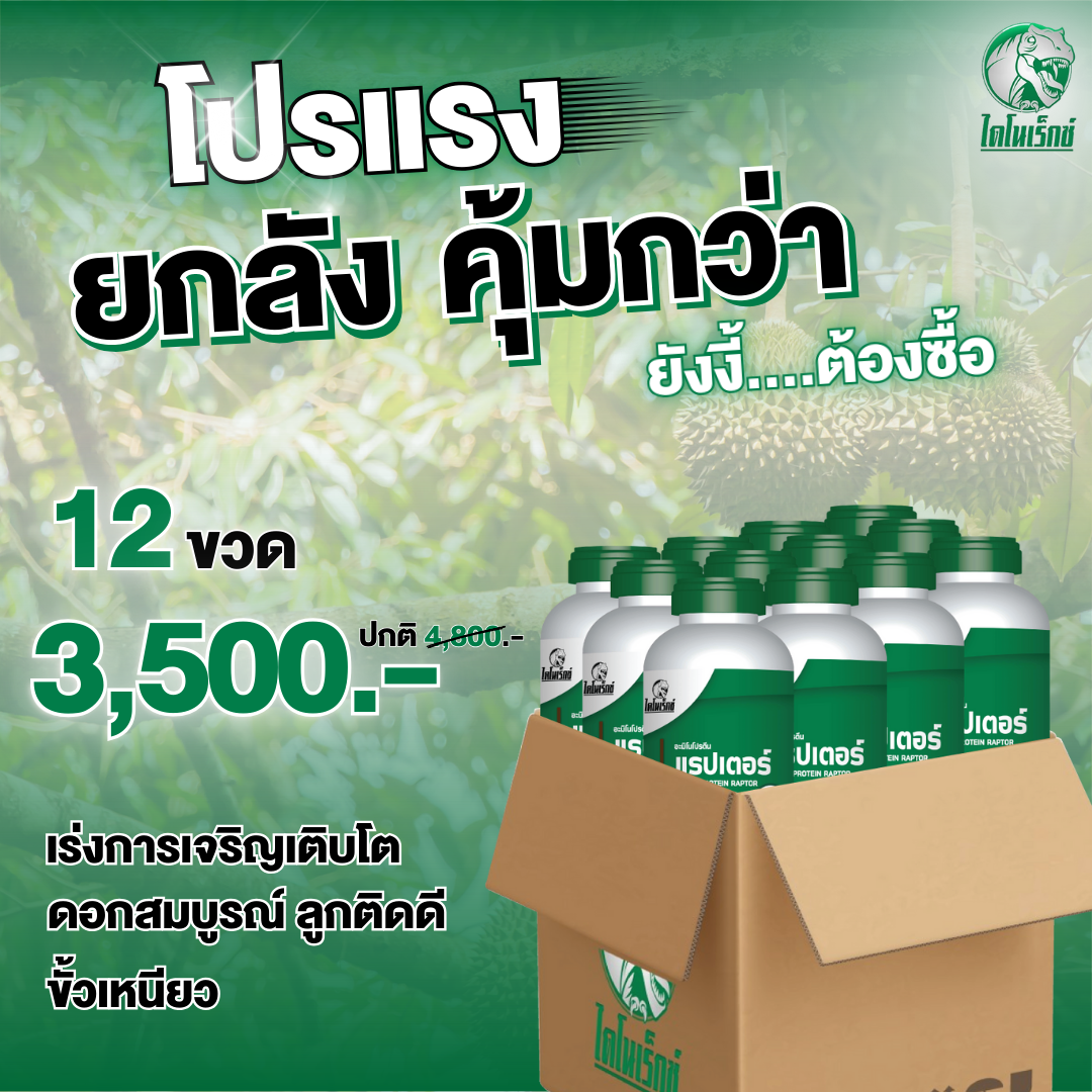 Durian flowers complete, sticky pole, beautiful effect, non-fall effect with amino protein, helps to grow 18 kinds of amino Raptors, dinorex. - ยี่ห้อ ไดโนเร็กซ์ ราคา 3,500 บาท*ส่งฟรี