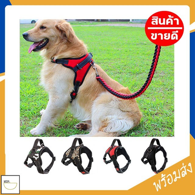 Dog Lead Gloria Oasis Multiple 2.1 x 200 cm Brown