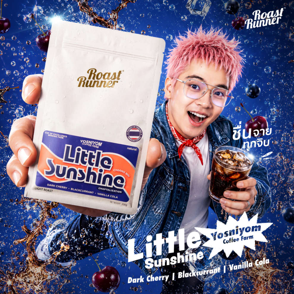 [New] Little Sunshine Chaptalization Coffee Beans (Light Roast) ราคา 681 บาท*ส่งฟรี