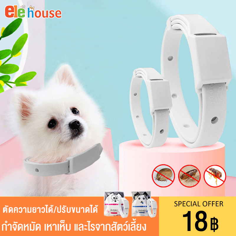🐶ปลอกคอป้องกันหมัดสัตว์เลี้ยง😺ปลอกคอแมว ปลอกคอสุนัข ปลอกคอกำจัดเห็บ หมัด ปลอกคอกําจัดหมัดเห็บ ปลอกคอป้องกันหมัด สุนัข และแมว ความยาวสามารถตัดได้/ขนาดสามารถปรับได้ ราคา 18 บาท*ส่งฟรี