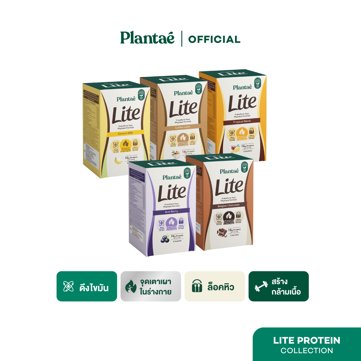 Plantae Lite Protein, Box of 5 Packets, Plant Protein, Hunger Control, L-Carnitine, L-Carnitine, Plant Protein, Green Tea