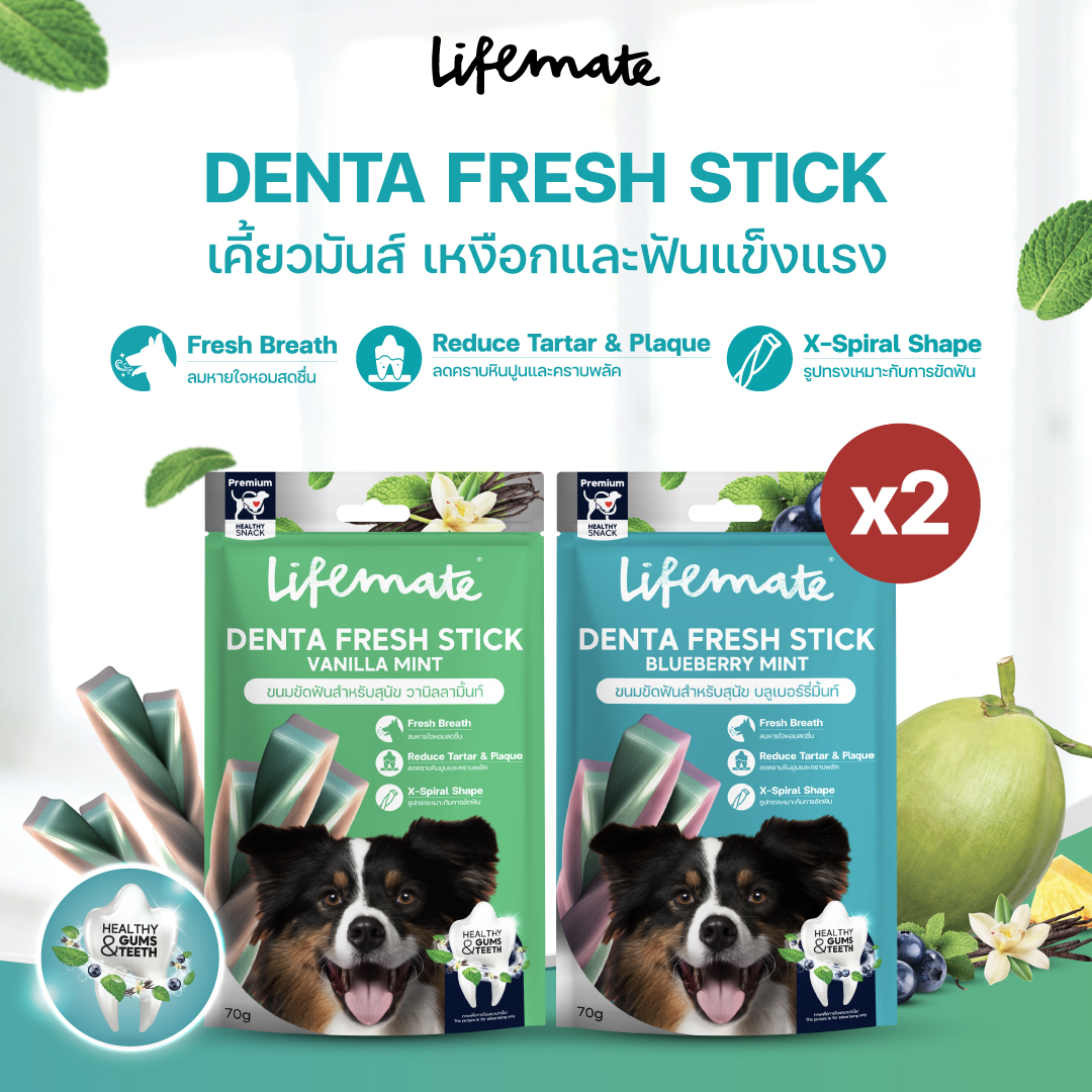 Denta Fresh Stick ขนมขัดฟันและเหงือกสุนัข 2 ซอง ราคา 70 บาท*ส่งฟรี