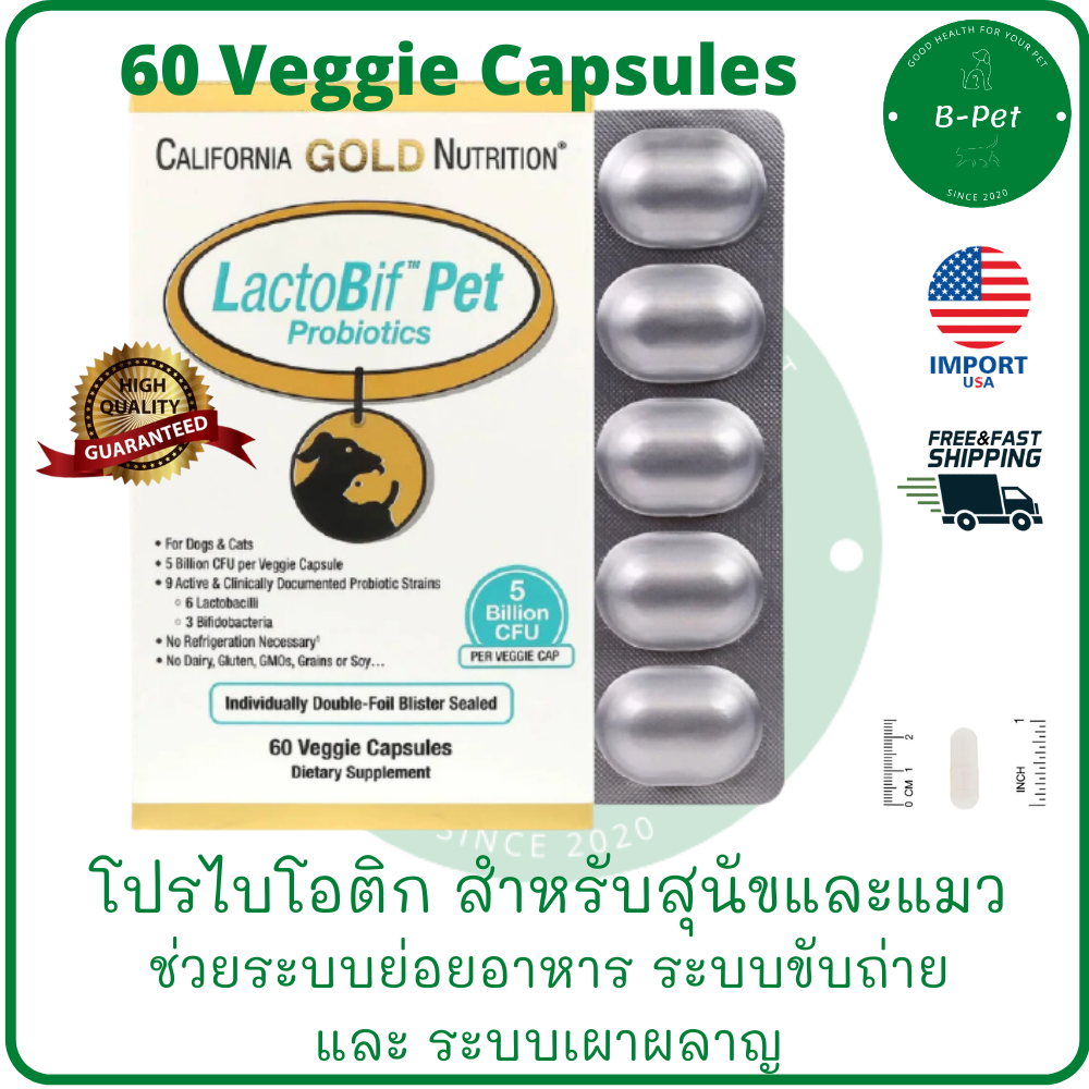 California Gold Nutrition, LactoBif Pet Probiotics, 5 Billion CFU, 60 Veggie Capsules สำหรับสุนัข และ แมว ระบบขับถ่าย ระบบย่อยอาหาร ระบบเผาผลาญ ราคา 879 บาท*ส่งฟรี